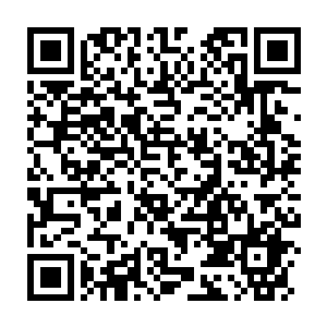 Link to your fundraiser QRCode - Fundraising