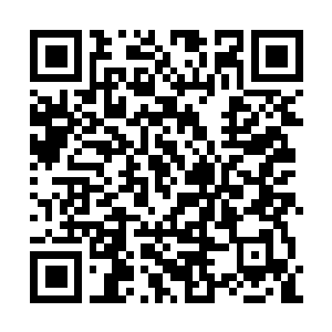 Link to your fundraiser QRCode - Fundraising