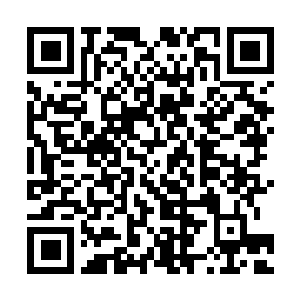 Link to your fundraiser QRCode - Fundraising