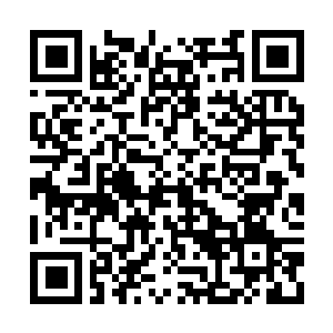 Link to your fundraiser QRCode - Fundraising