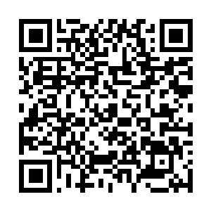 Link to your fundraiser QRCode - Fundraising