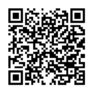 Link to your fundraiser QRCode - Fundraising