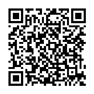 Link to your fundraiser QRCode - Fundraising