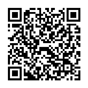 Link to your fundraiser QRCode - Fundraising