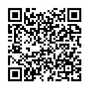 Link to your fundraiser QRCode - Fundraising