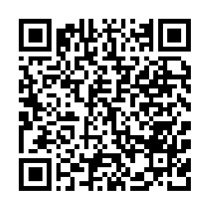 Link to your fundraiser QRCode - Fundraising