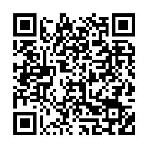 Link to your fundraiser QRCode - Fundraising