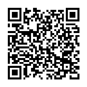 Link to your fundraiser QRCode - Fundraising