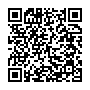 Link to your fundraiser QRCode - Fundraising