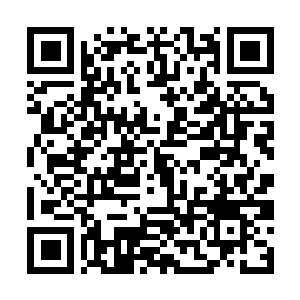 Link to your fundraiser QRCode - Fundraising