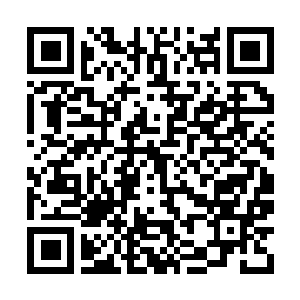 Link to your fundraiser QRCode - Fundraising