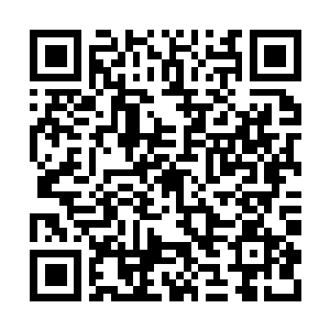 Link to your fundraiser QRCode - Fundraising