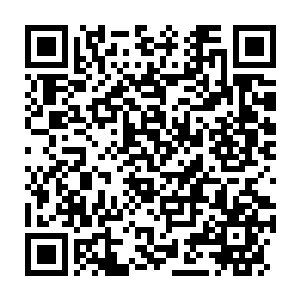 Link to your fundraiser QRCode - Fundraising