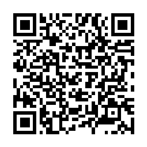Link to your fundraiser QRCode - Fundraising