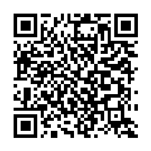 Link to your fundraiser QRCode - Fundraising
