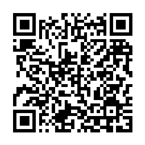 Link to your fundraiser QRCode - Fundraising