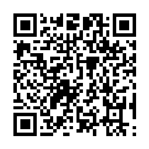 Link to your fundraiser QRCode - Fundraising