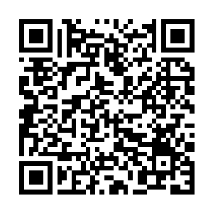 Link to your fundraiser QRCode - Fundraising
