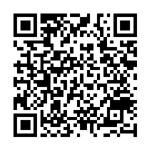 Link to your fundraiser QRCode - Fundraising