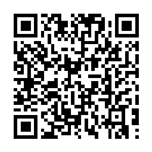 Link to your fundraiser QRCode - Fundraising