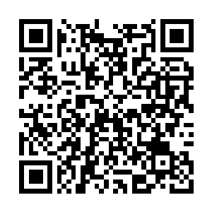 Link to your fundraiser QRCode - Fundraising