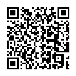 Link to your fundraiser QRCode - Fundraising