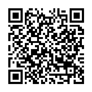 Link to your fundraiser QRCode - Fundraising