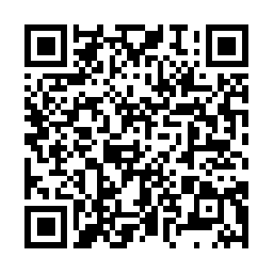 Link to your fundraiser QRCode - Fundraising