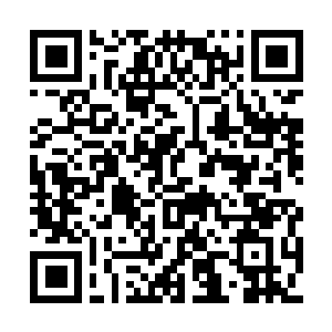 Link to your fundraiser QRCode - Fundraising