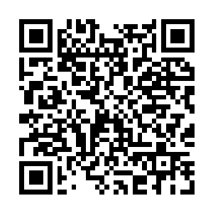 Link to your fundraiser QRCode - Fundraising