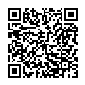 Link to your fundraiser QRCode - Fundraising