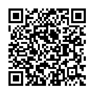 Link to your fundraiser QRCode - Fundraising