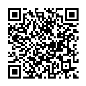 Link to your fundraiser QRCode - Fundraising