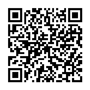 Link to your fundraiser QRCode - Fundraising