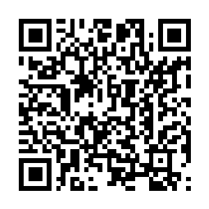 Link to your fundraiser QRCode - Fundraising