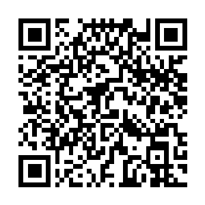 Link to your fundraiser QRCode - Fundraising