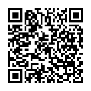 Link to your fundraiser QRCode - Fundraising