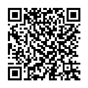 Link to your fundraiser QRCode - Fundraising