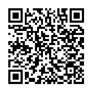 Link to your fundraiser QRCode - Fundraising