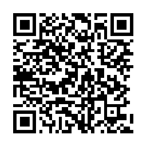 Link to your fundraiser QRCode - Fundraising