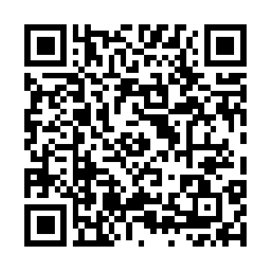 Link to your fundraiser QRCode - Fundraising