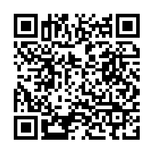Link to your fundraiser QRCode - Fundraising