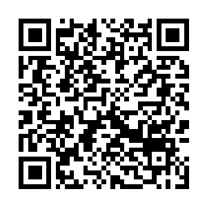 Link to your fundraiser QRCode - Fundraising