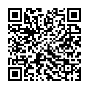 Link to your fundraiser QRCode - Fundraising