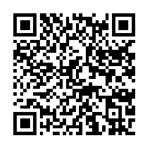 Link to your fundraiser QRCode - Fundraising