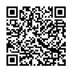 Link to your fundraiser QRCode - Fundraising