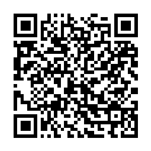 Link to your fundraiser QRCode - Fundraising
