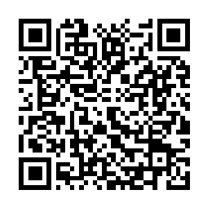 Link to your fundraiser QRCode - Fundraising