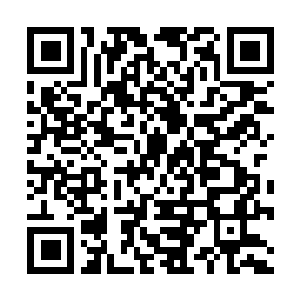Link to your fundraiser QRCode - Fundraising