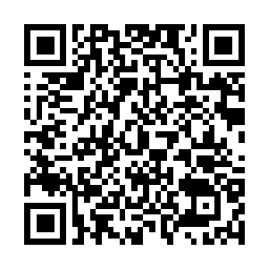 Link to your fundraiser QRCode - Fundraising